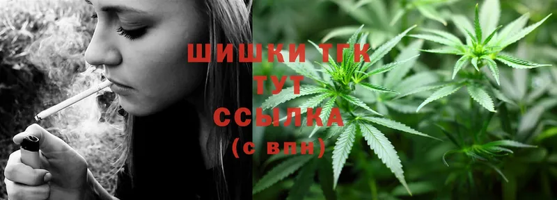 Каннабис THC 21%  где продают наркотики  MEGA вход  Бор 